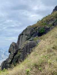 飛鵝回首，群山之間望九龍