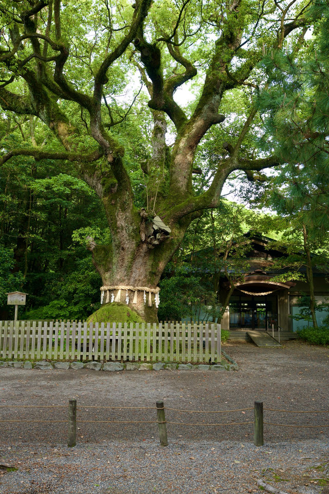 野兔Andy帶小狗仔遊名古屋