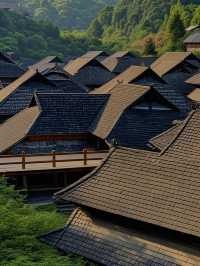 普洱帶娃修仙失敗！呢3個坑令我諗住承包咖啡園