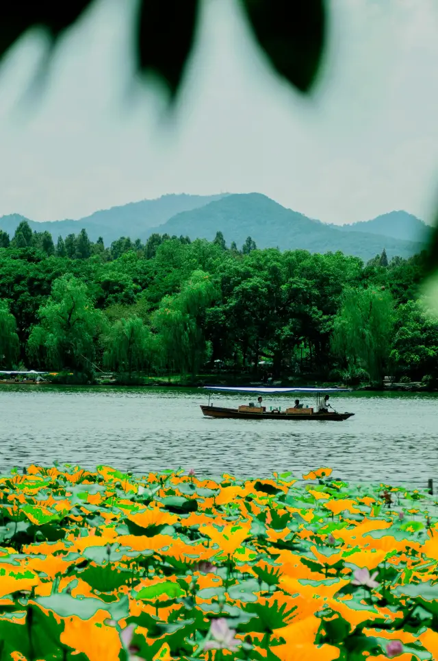 Hangzhou · West Lake｜Picking up Lady White Snake by Broken Bridge