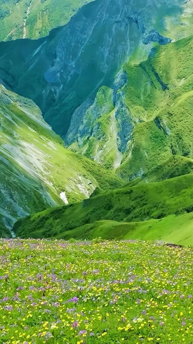 川西嘅天花板 唔使講都係九頂山