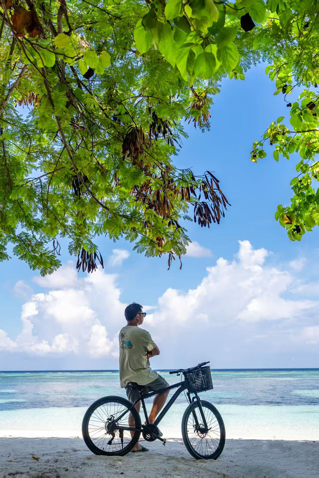 麗世南阿里環礁：鏡頭裏嘅海島綺夢
