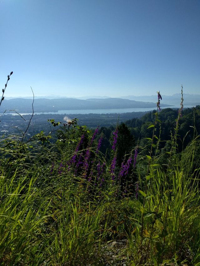 蘇黎世 | 菟庫爾姆酒店，山間擁美景   酒店：菟庫爾姆酒店   地址：玉特利山