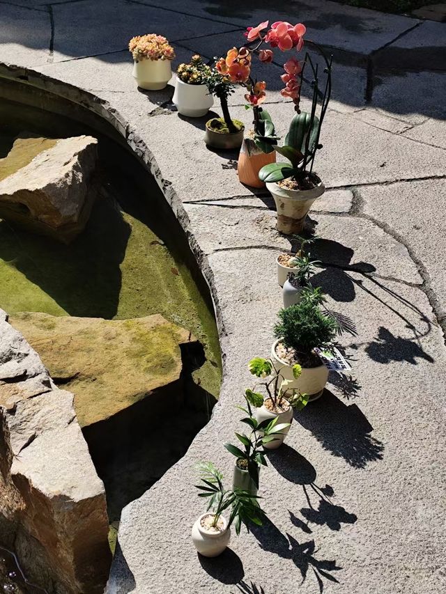 專屬小院｜在成都偷得半日閒