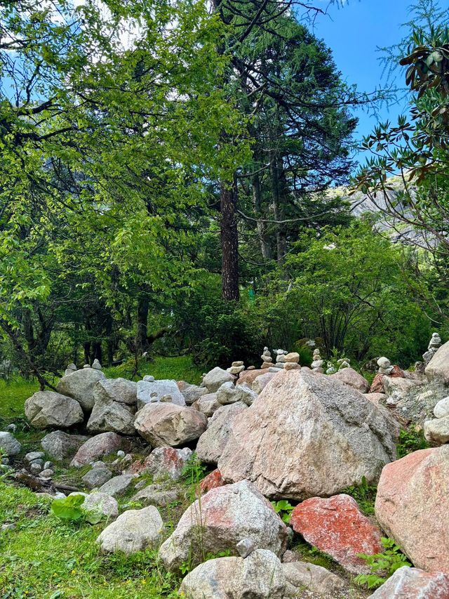 畢棚溝夏日仙境！雪山花海靚到窒息！