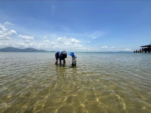 高鐵站旁嘅寶藏民宿！汕尾之旅絕配