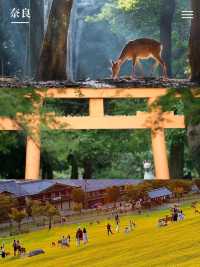日本全景漫遊攻略｜7大地區×自然/文化/海濱/都市