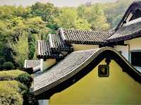 Changsha's Skyline Symphony: Architecture as a Living Art Canvas