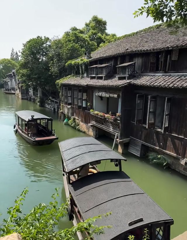 夏日逃離｜邂逅嘉興烏鎮的清涼與詩意