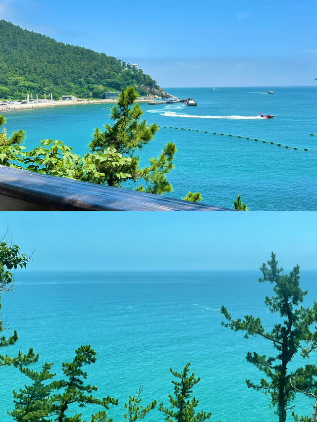 青島｜竟然藏著這麼一個「精靈」小屋
