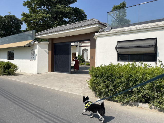 珠海鬥門｜帶毛孩衝這家寵物友好民宿！稻田撒歡太治愈🐕✨