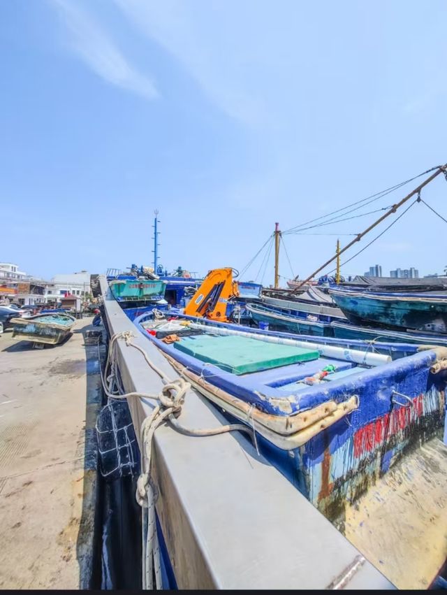 瓊海·潭門跨越時空，邂逅千年漁港之美  
瓊海潭門鎮，與博鰲一水相鄰，最著名的莫過於這裡剛捕撈上岸