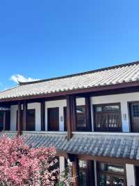 麗江必住民宿分分鐘GET庭院大片