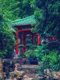穿越百年江南夢！澳門盧廉若公園絕美體驗】**  
