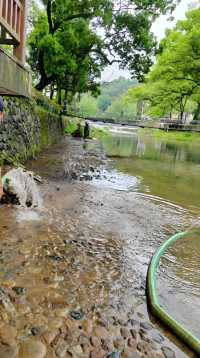 山水間尋味江南