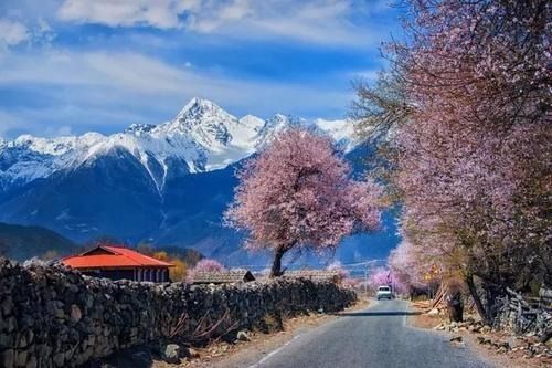 詩意嘅中國林芝站：林芝7日6夜旅行計劃