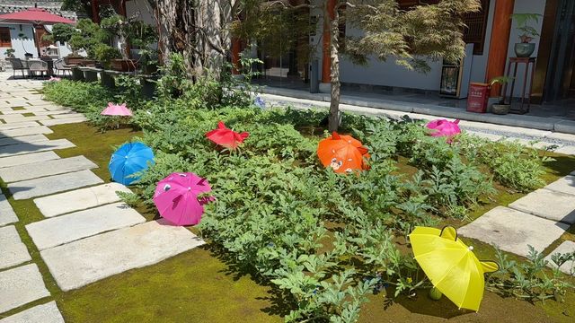 住進「嚮往的生活」，這間民宿藏著理想夏天