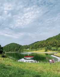 19℃嘅森林拒絕冷氣：武陵山森林公園