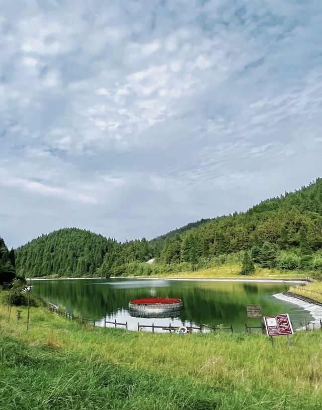 19℃嘅森林拒絕冷氣：武陵山森林公園