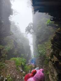 貴州·銅仁梵淨山  仙境雲海