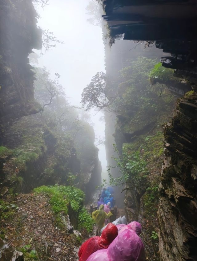 貴州·銅仁梵淨山  仙境雲海