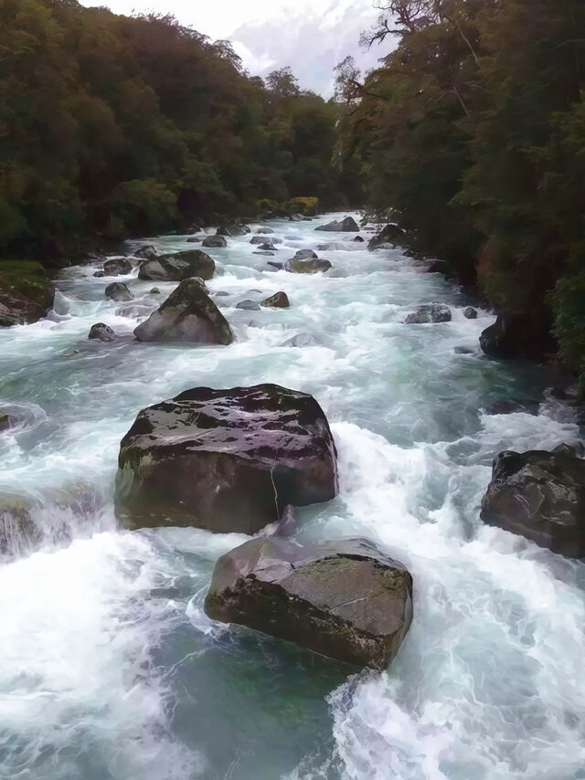 米弗峽灣（Milford Sound）遊覽攻略