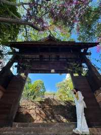 景邁山：隱藏在雲端的土著生活