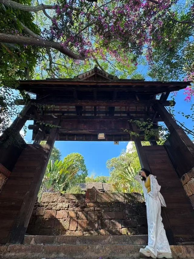 景邁山：隱藏在雲端的土著生活