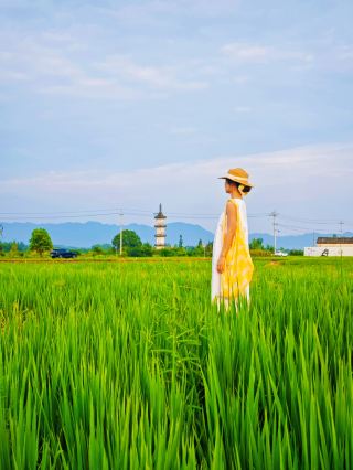 Highly recommend Bishan Village with free admission as the hidden gem of Huizhou