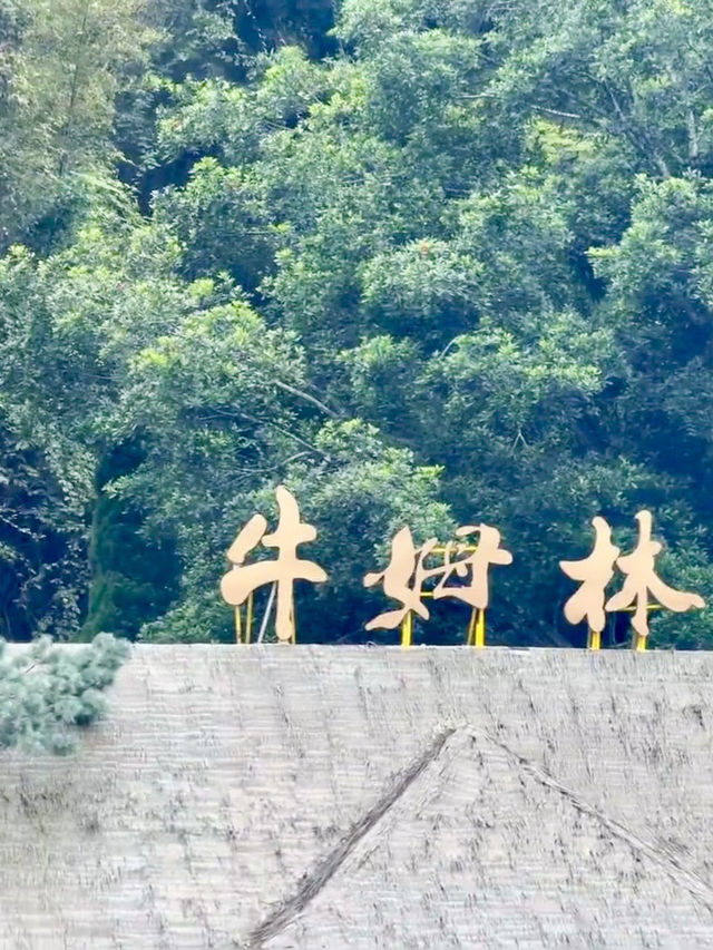 天然氧吧・永春牛姆林的生命樂章 天然氧吧・永春牛姆林的生命樂章