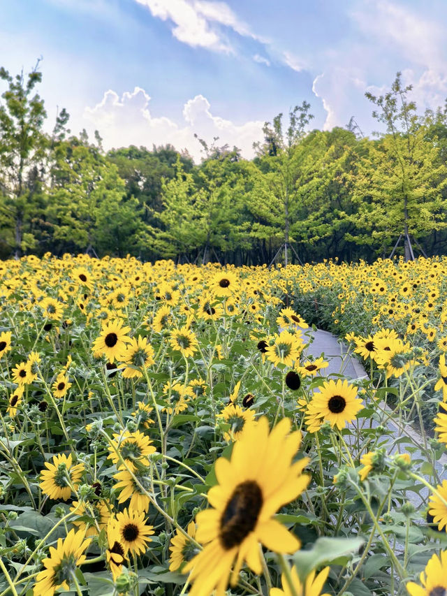 上海西岸自然藝術公園｜藝術與自然的對話