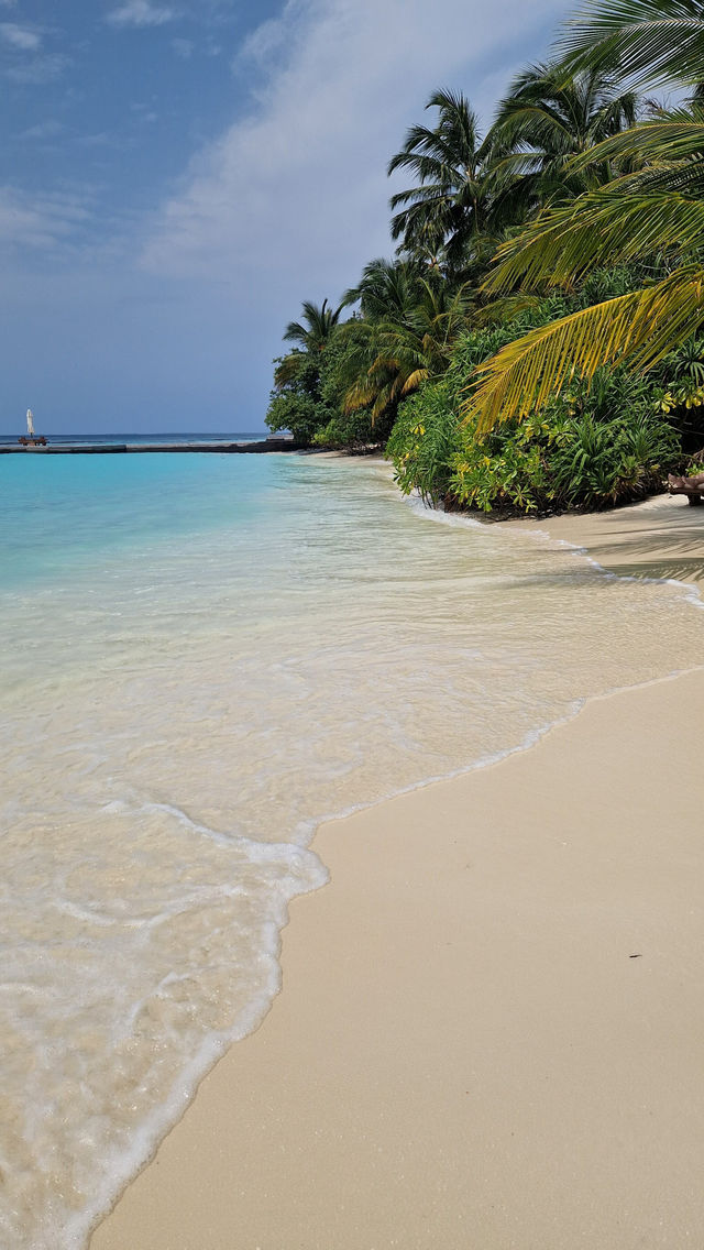 Two Blissful Weeks in Paradise