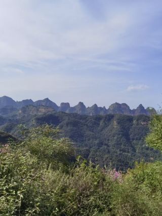 The Enchanting Wonderland of Anime Blossom Valley