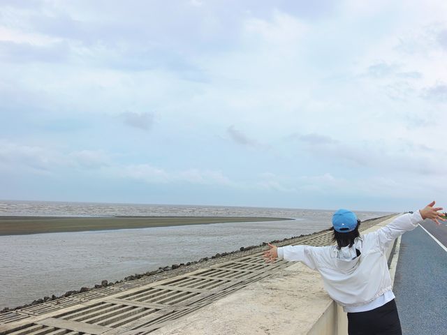 海上草原 - 黑沙灘