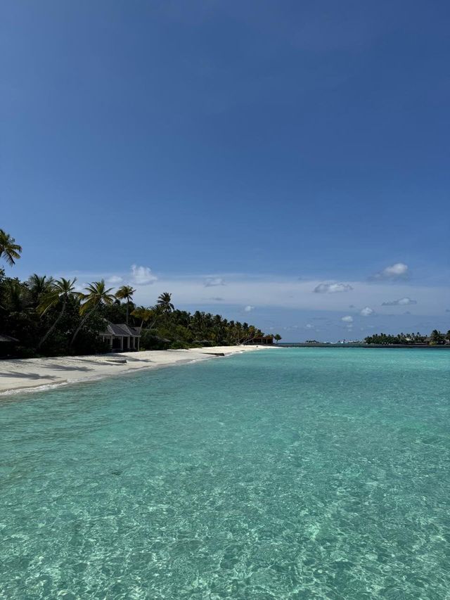 Unforgettable Anniversary Celebration at Veligandu Resort