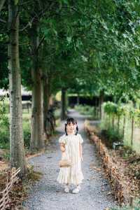 蘇州出發1h在植物圖書館農場過夏天