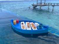 Sophie's Exceptional Care Enriches Island Vacation