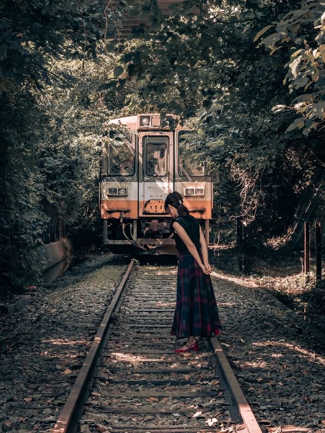 日本小眾電車打卡地圖誰說鐵軌美景只有富山？