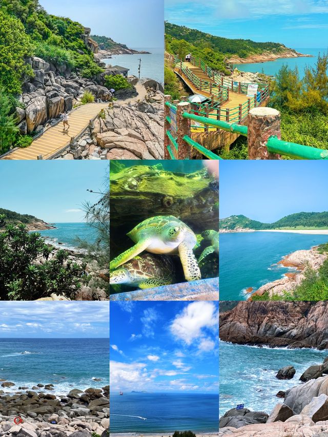 億萬年的海龜故事