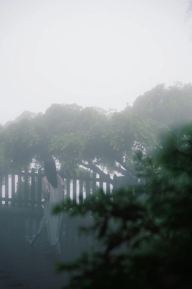 浙江 莫干山風景區