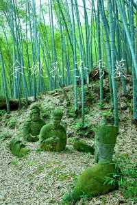 竹林秘境中的神祕宋墓餘姚孫子秀墓探秘攻略