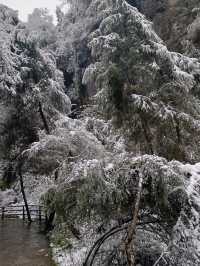 重慶下雪了！衝！仙女山2日遊保姆級攻略！