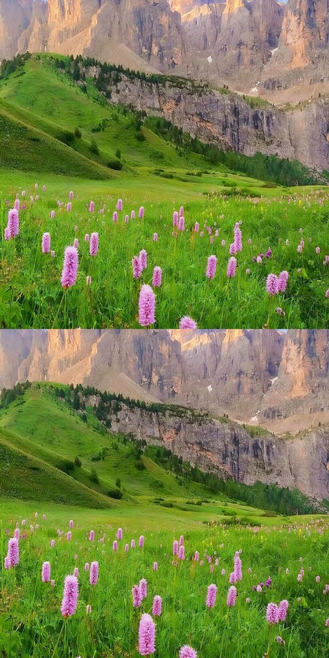 當你撞進了“上帝的後花園”