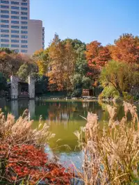還有1個月｜魔都市區的調色盤公園即將上線