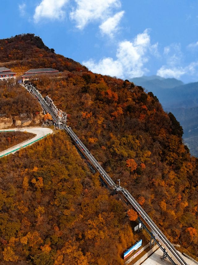 亞洲最長紅地毯，680平方公里紅葉盛景，一眼萬年