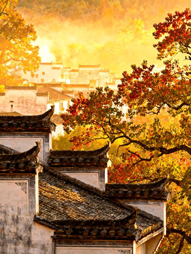 晨光吻過塔川時，秋便有了形狀……