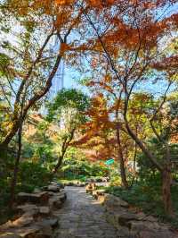 魔都小眾寶藏地人民公園漫遊指南