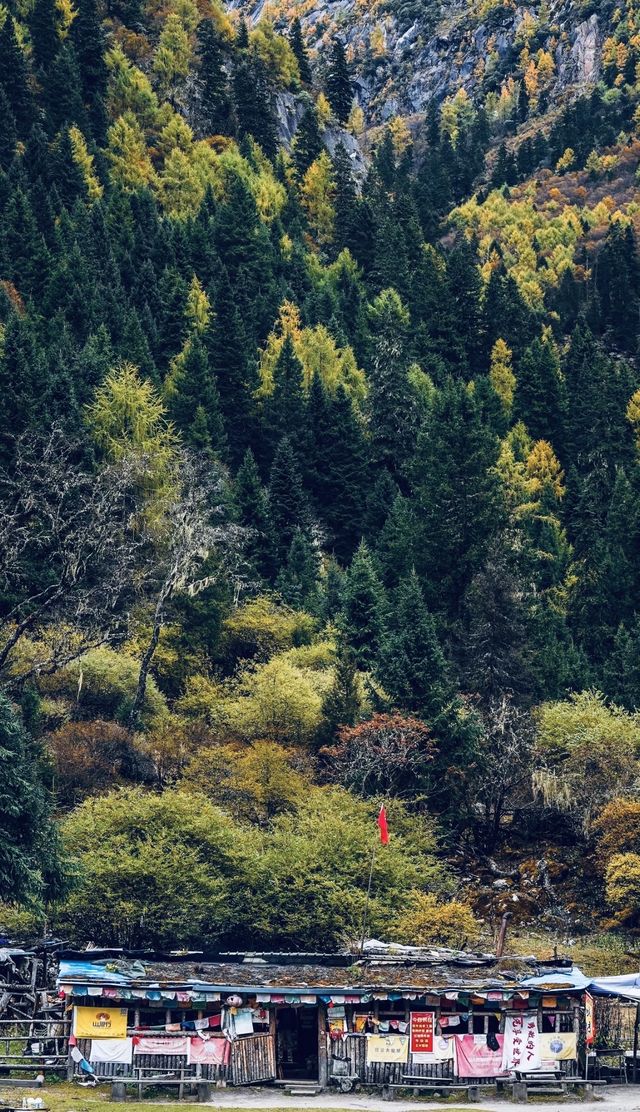 四姑娘山深度攻略:在蜀山之後尋覓心靈淨土 四姑娘山深度攻略:在蜀山之後尋覓心靈淨土