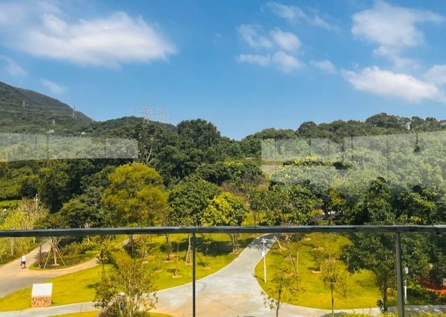好像走進了莫奈的花園深圳恩上公園！