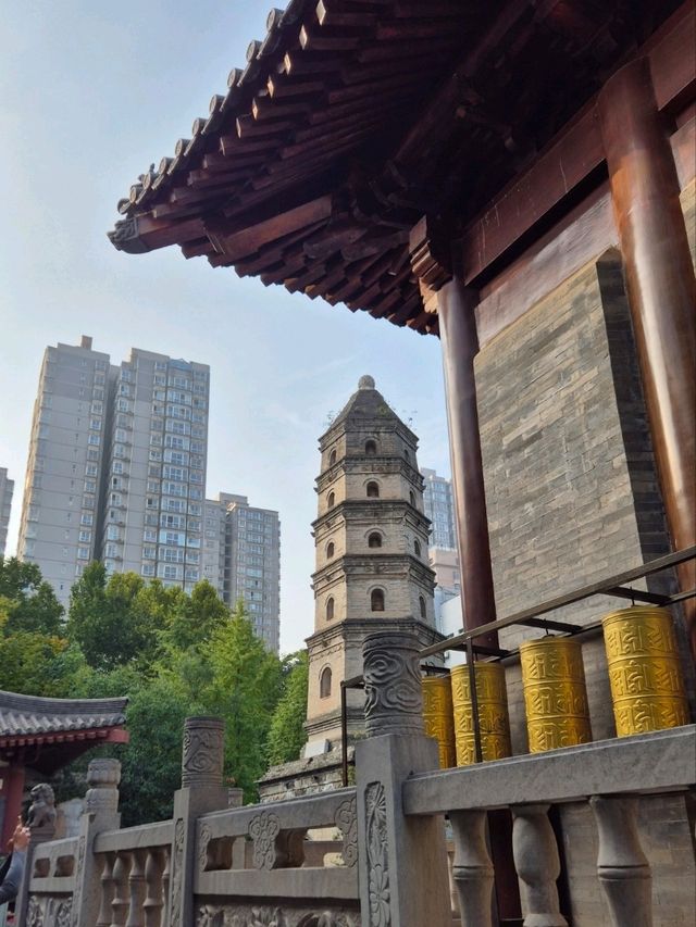 Daxingshan Temple: A Living Heritage